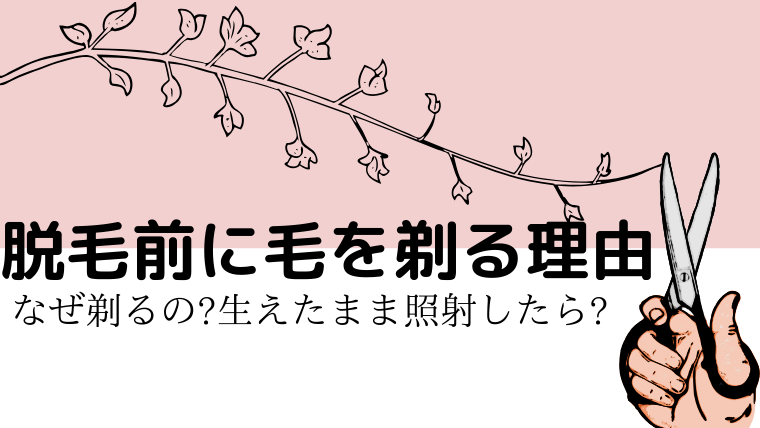 脱毛前に毛を剃る理由 Br なぜ剃るの 生えたまま照射したら すきスキskin